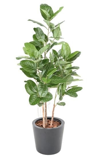 Ficus Audrey Kunstig 150 Cm Innendørs Plante