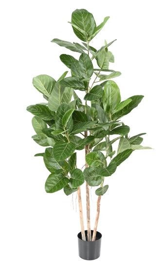 Ficus Audrey Kunstig 150 Cm Innendørs Plante