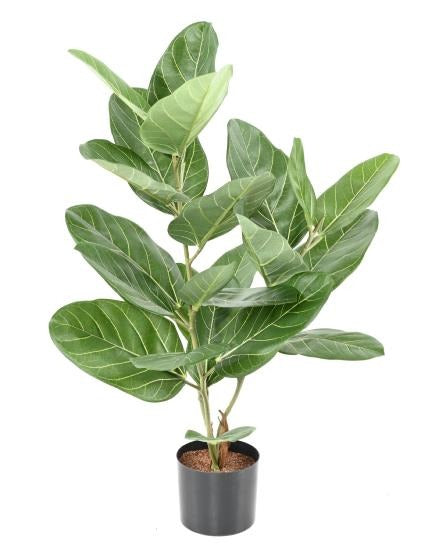 Kunstig Ficus Audrey 62 Cm Innendørs Plante