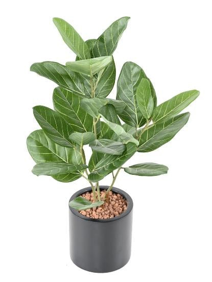 Kunstig Ficus Audrey 62 Cm Innendørs Plante