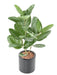 Kunstig Ficus Audrey 62 Cm Innendørs Plante