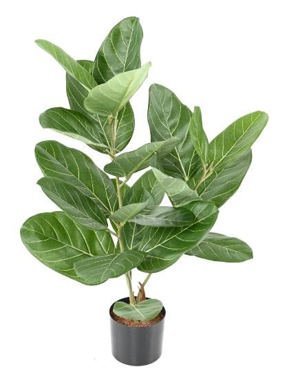 Kunstig Ficus Audrey 62 Cm Innendørs Plante