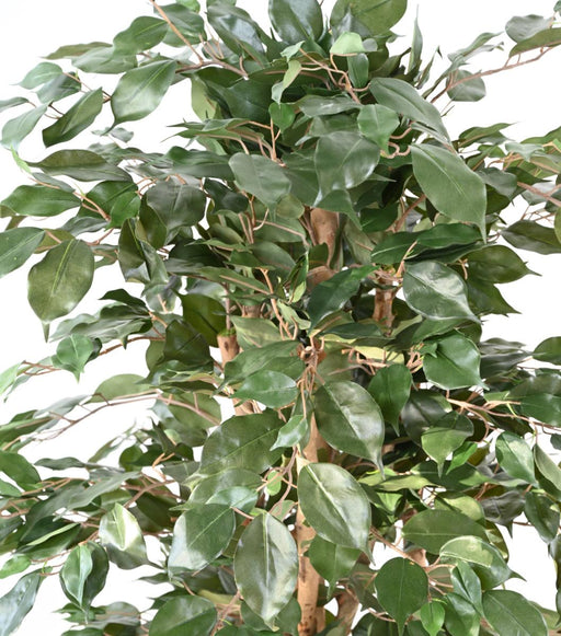 Kunstig Ficus Benjamina 150 Cm Innendørs Plante