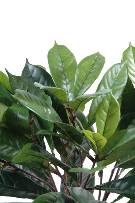 Kunstig Ficus Cyathistipula 50 Cm Tett Bladverk