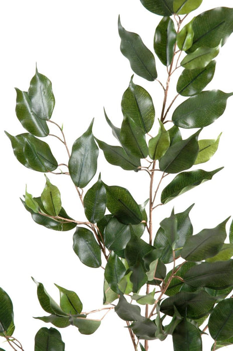 Kunstig Ficus Exotica 108 Cm Grønt Løvverk