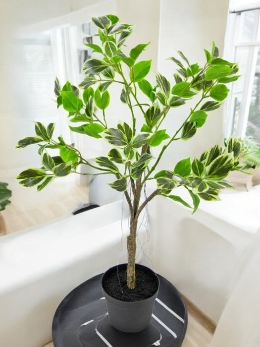 Ficus Henryi - Kunstig Grønn Plante