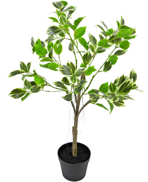 Ficus Henryi - Kunstig Grønn Plante