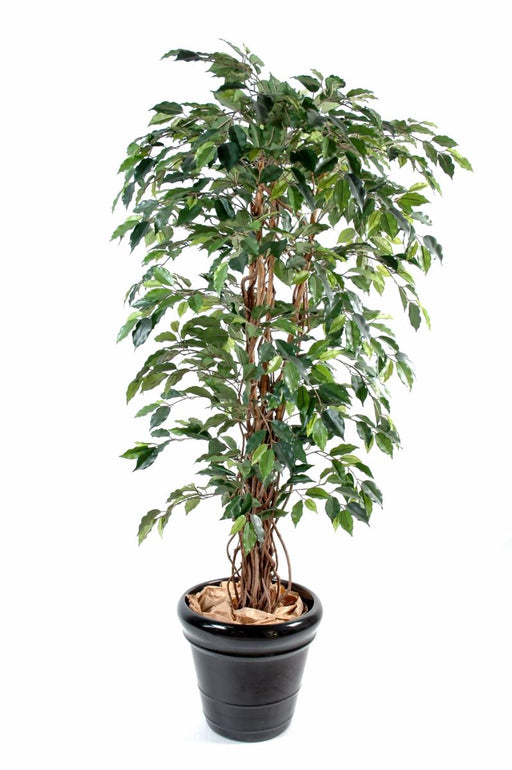 Kunstig Ficus Lianas 150 Cm Grønn Inneplante