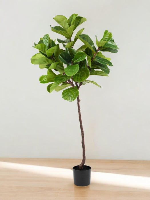 Ficus Lyrata - Kunstig Tre