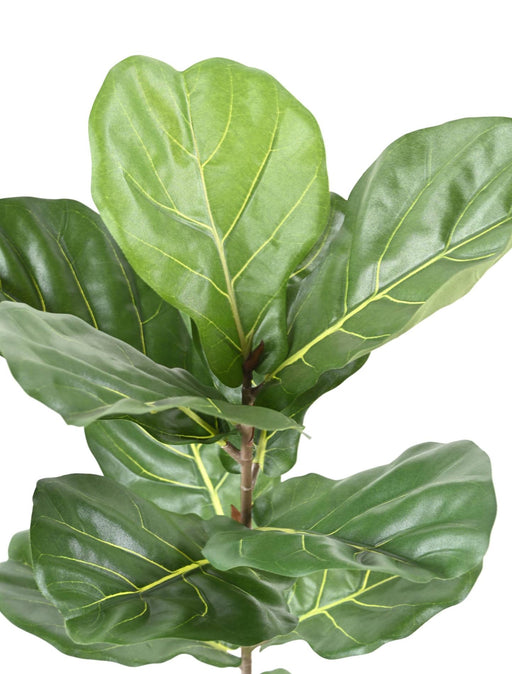 Kunstig Ficus Lyrata 100Cm Grønn For Innendørs