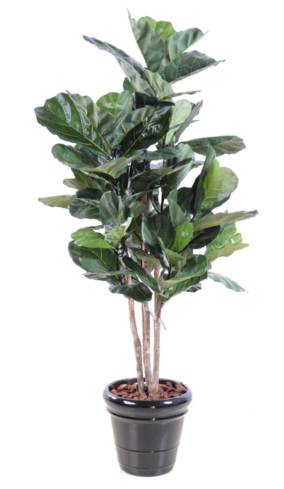 Kunstig Ficus Lyrata 190 Cm Inneplante