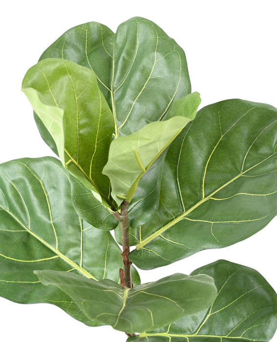 Kunstig Ficus Lyrata 75 Cm Innendørs Plante