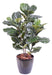 Kunstig Ficus Lyrata 90 Cm Innendørs Grønn Plante