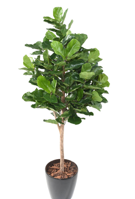 Kunstig Ficus Lyrata H.180Cm Dekorativ Plante