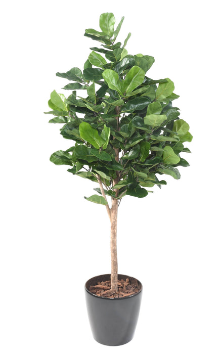 Kunstig Ficus Lyrata H.180Cm Dekorativ Plante