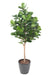 Kunstig Ficus Lyrata H.180Cm Dekorativ Plante