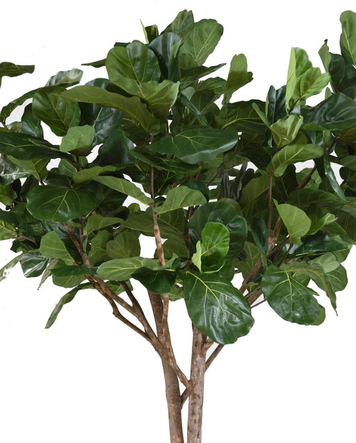 Kunstig Ficus Lyrata For Innendørs 340 Cm