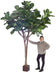 Kunstig Ficus Lyrata For Innendørs 340 Cm