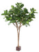 Kunstig Ficus Lyrata For Innendørs 340 Cm