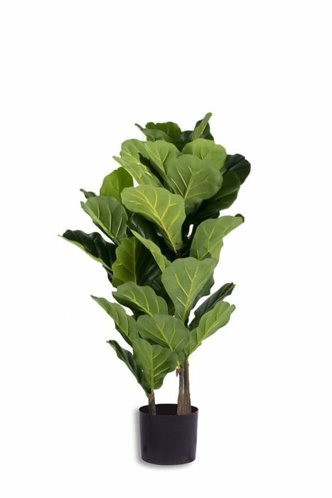 Ficus Lyrata - Stor Kunstig Plante