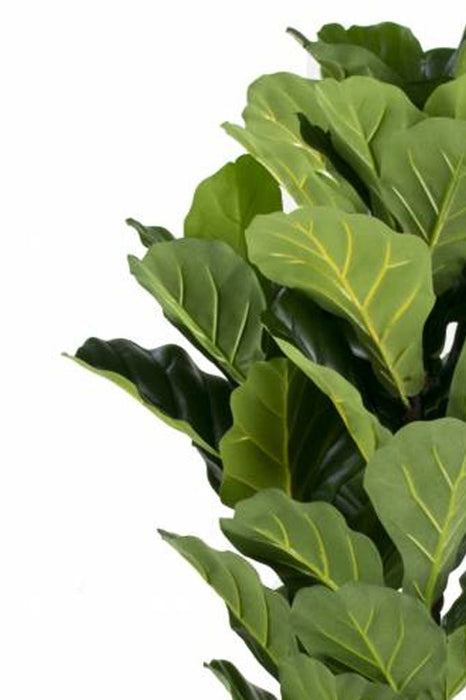 Ficus Lyrata - Stor Kunstig Plante