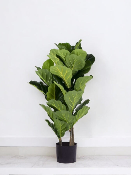 Ficus Lyrata - Stor Kunstig Plante