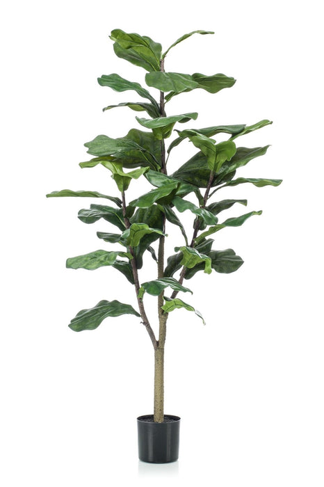 Ficus Lyrata Kunstig Plante H125Cm, Ø14Cm