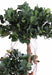 Kunstig Ficus Panda 140 Cm For Innendørs