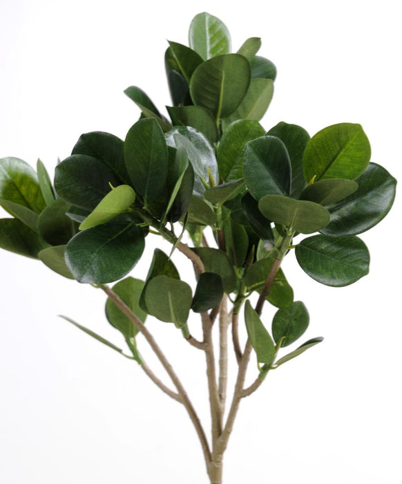 Kunstig Ficus Panda 40 Cm For Blomsterdekorasjoner