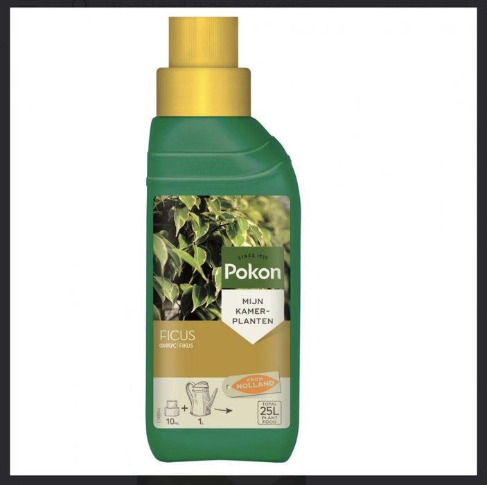 Ficus Plantefôr 250 Ml