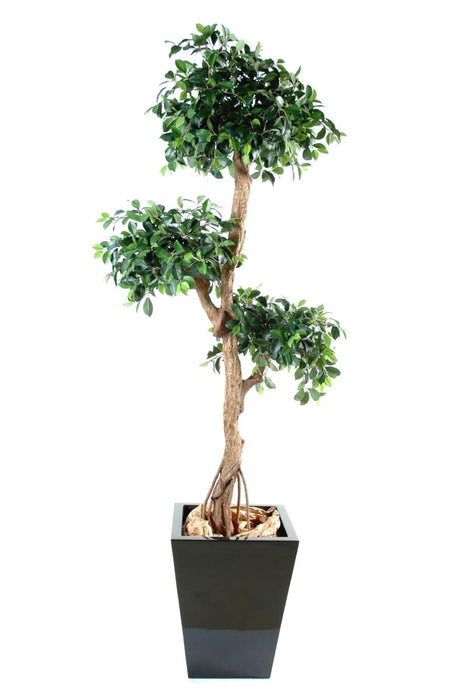 Kunstig Ficus Retusa 150 Cm Syntetisk Plante