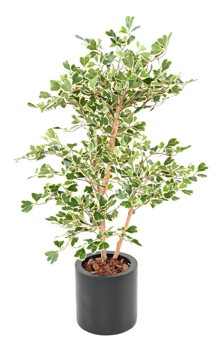 Kunstig Ficus Triangularis H120 Cm Inneplante