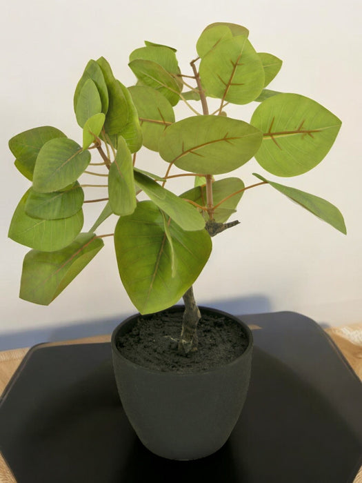 Ficus Tropica - Kunstig Grønn Plante