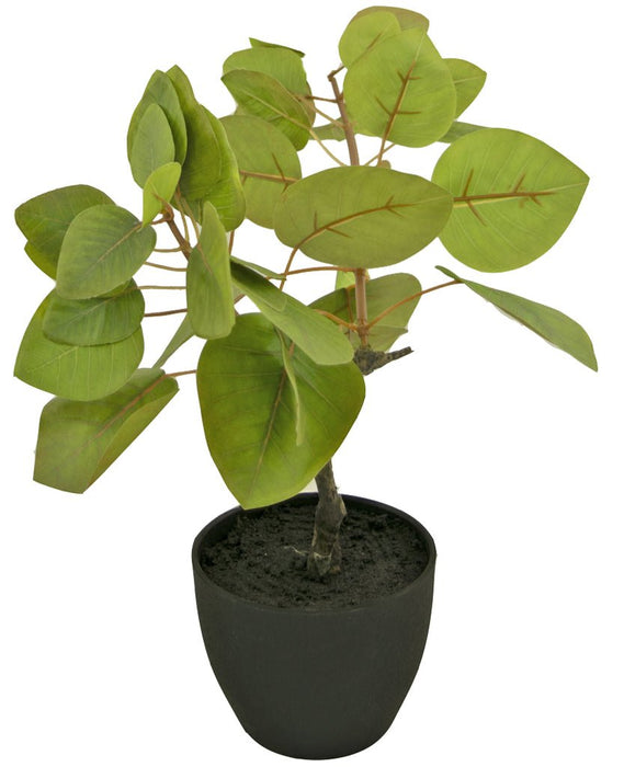 Ficus Tropica - Kunstig Grønn Plante