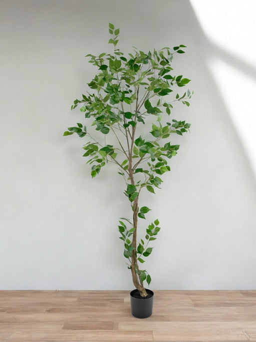 Kunstig Ficus