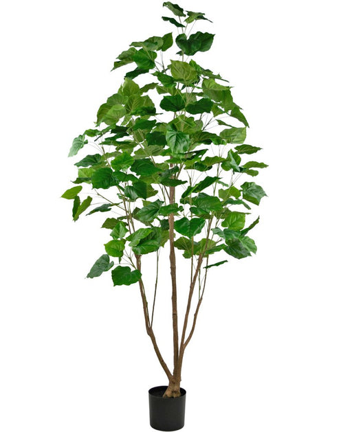 Kunstig Ficus