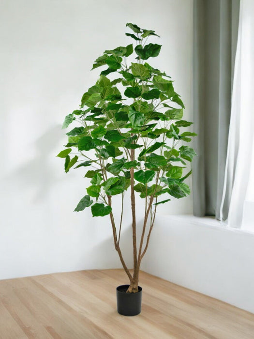 Kunstig Ficus