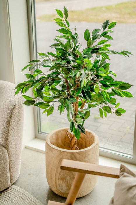 Ficus Benjamina - Kunstig Tre