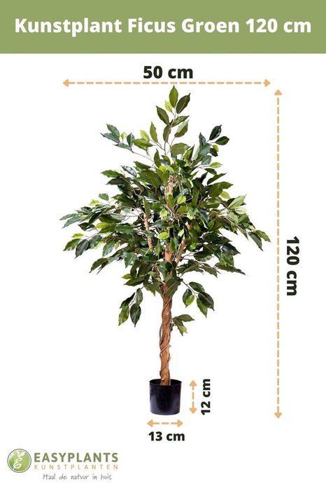 Ficus Benjamina - Kunstig Tre