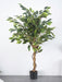 Ficus Benjamina - Kunstig Tre