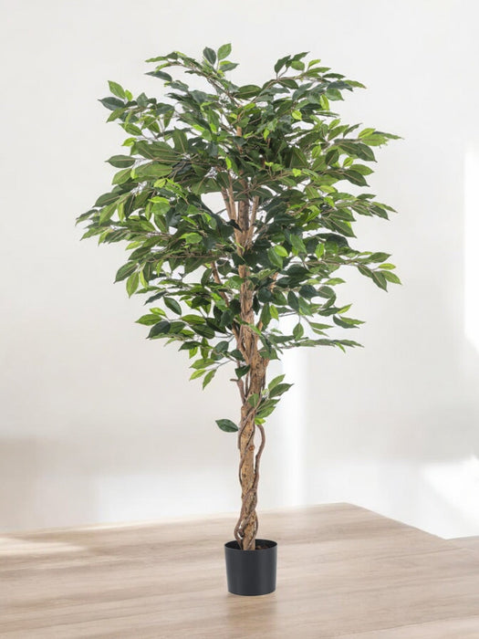 Ficus Benjamina - Kunstig Tre