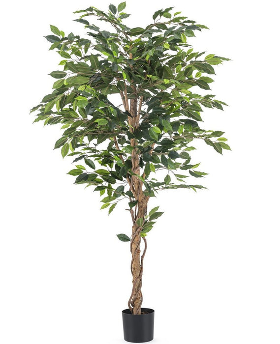 Ficus Benjamina - Kunstig Tre