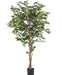 Ficus Benjamina - Kunstig Tre