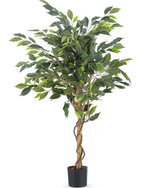 Ficus Benjamina - Kunstig Tre