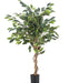 Ficus Benjamina - Kunstig Tre