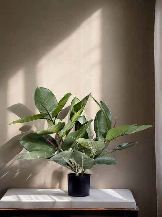 Ficus Elastica Rubber - Kunstig Grønn Plante