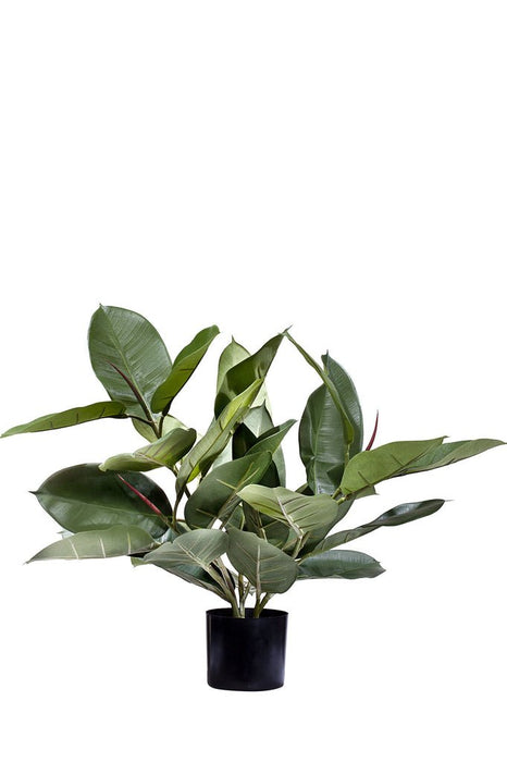 Ficus Elastica Rubber - Kunstig Grønn Plante