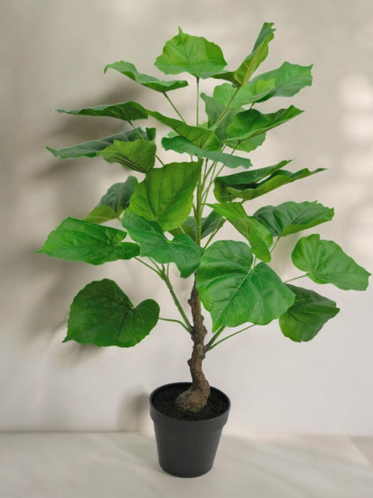 Ficus - Stor Kunstig Plante