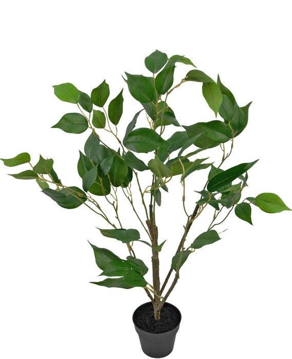 Ficus - Stor Kunstig Plante