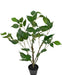 Ficus - Stor Kunstig Plante